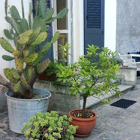 All'Ombra Dei Tassi Mandello del Lario Extérieur photo